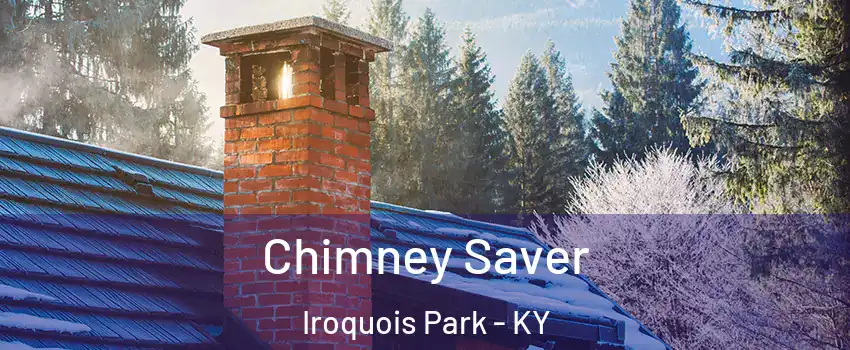 Chimney Saver Iroquois Park - KY