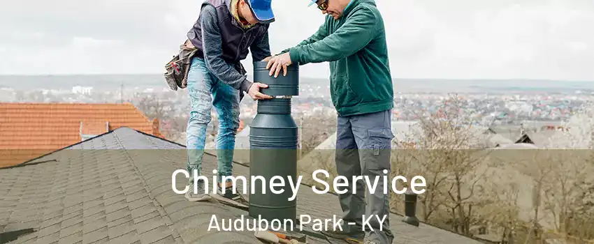Chimney Service Audubon Park - KY