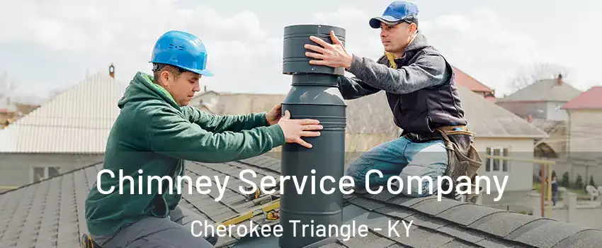 Chimney Service Company Cherokee Triangle - KY