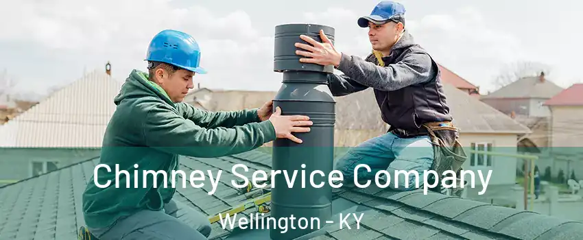 Chimney Service Company Wellington - KY