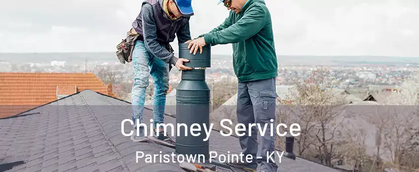Chimney Service Paristown Pointe - KY