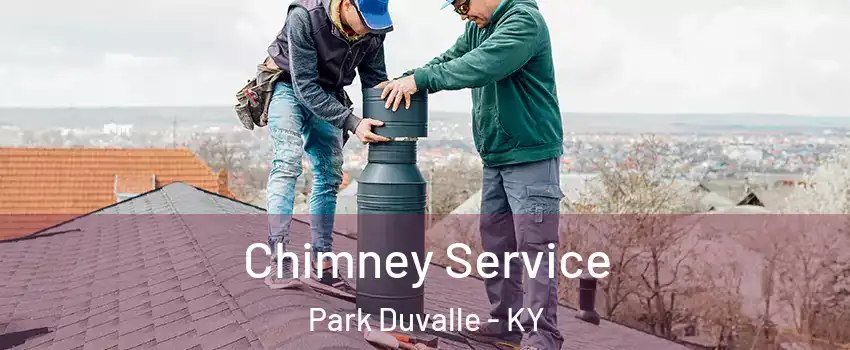 Chimney Service Park Duvalle - KY