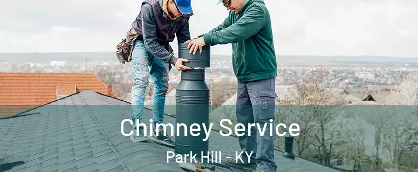 Chimney Service Park Hill - KY