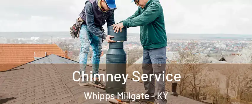 Chimney Service Whipps Millgate - KY