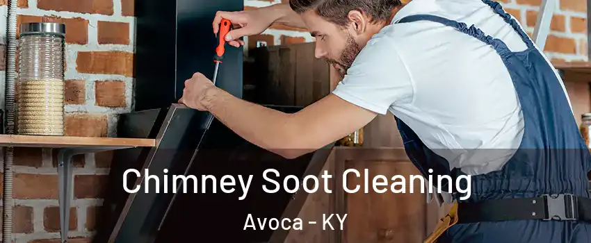 Chimney Soot Cleaning Avoca - KY