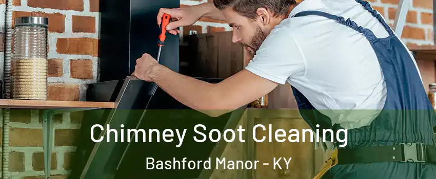 Chimney Soot Cleaning Bashford Manor - KY