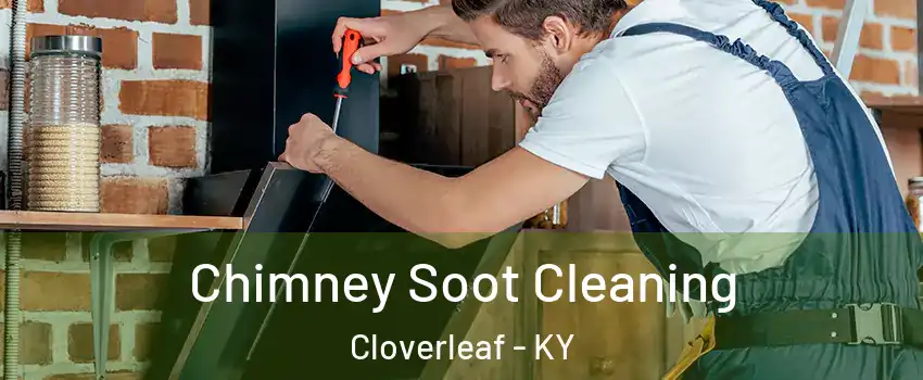 Chimney Soot Cleaning Cloverleaf - KY