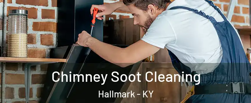 Chimney Soot Cleaning Hallmark - KY