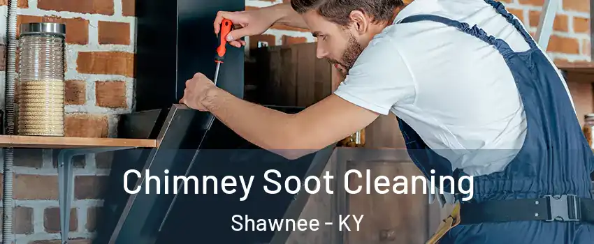 Chimney Soot Cleaning Shawnee - KY