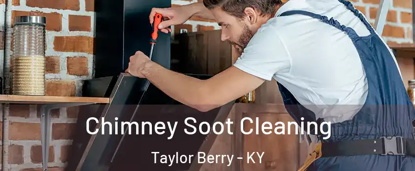 Chimney Soot Cleaning Taylor Berry - KY