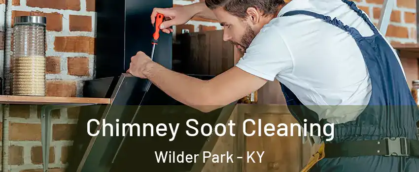 Chimney Soot Cleaning Wilder Park - KY
