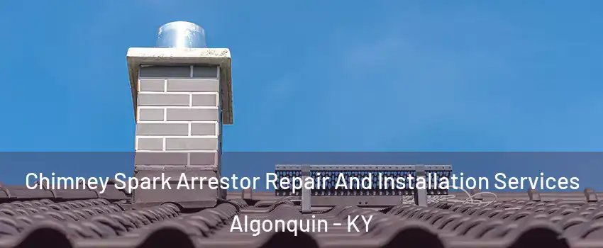 Chimney Spark Arrestor Repair And Installation Services Algonquin - KY