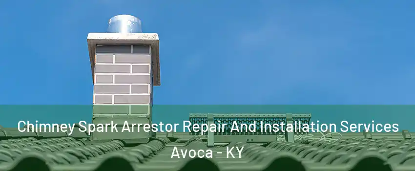 Chimney Spark Arrestor Repair And Installation Services Avoca - KY
