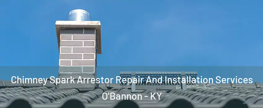 Chimney Spark Arrestor Repair And Installation Services O'Bannon - KY
