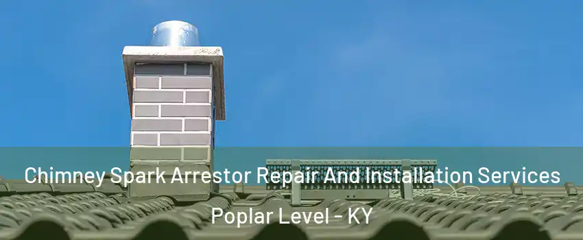 Chimney Spark Arrestor Repair And Installation Services Poplar Level - KY