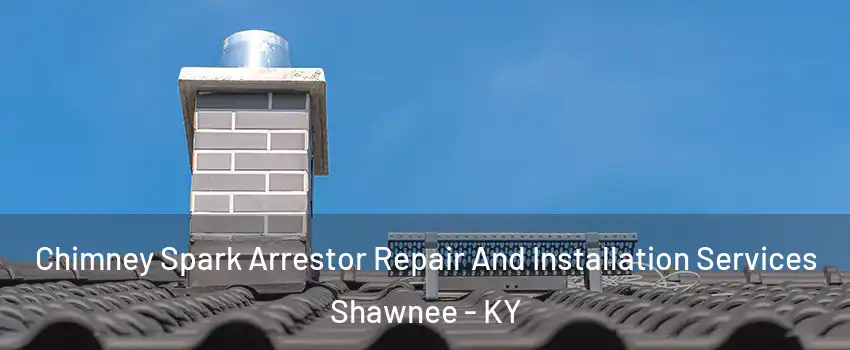 Chimney Spark Arrestor Repair And Installation Services Shawnee - KY