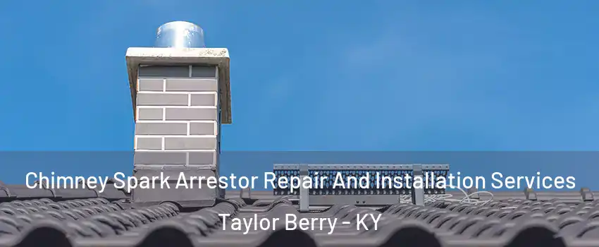 Chimney Spark Arrestor Repair And Installation Services Taylor Berry - KY