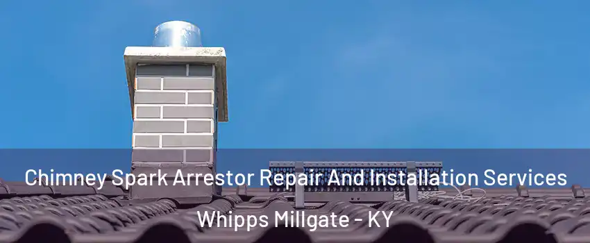 Chimney Spark Arrestor Repair And Installation Services Whipps Millgate - KY