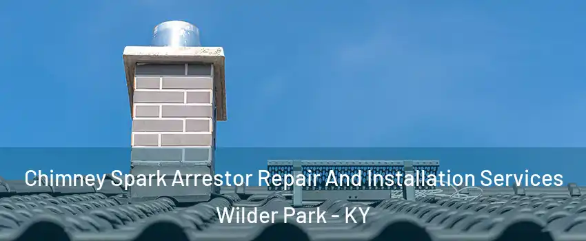 Chimney Spark Arrestor Repair And Installation Services Wilder Park - KY