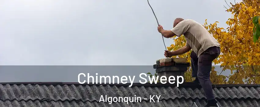 Chimney Sweep Algonquin - KY
