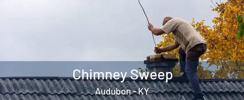 Chimney Sweep Audubon - KY