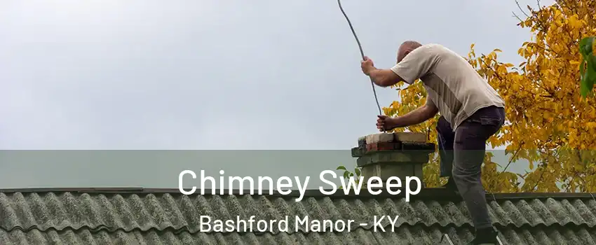 Chimney Sweep Bashford Manor - KY