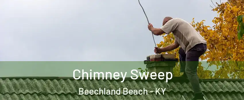 Chimney Sweep Beechland Beach - KY