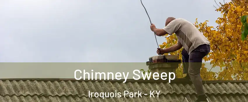 Chimney Sweep Iroquois Park - KY