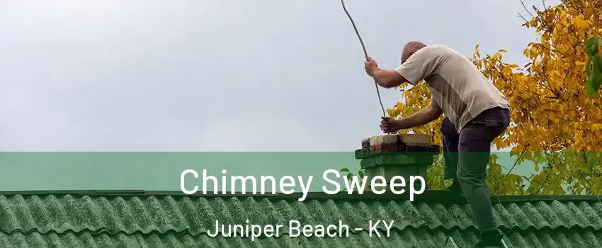 Chimney Sweep Juniper Beach - KY