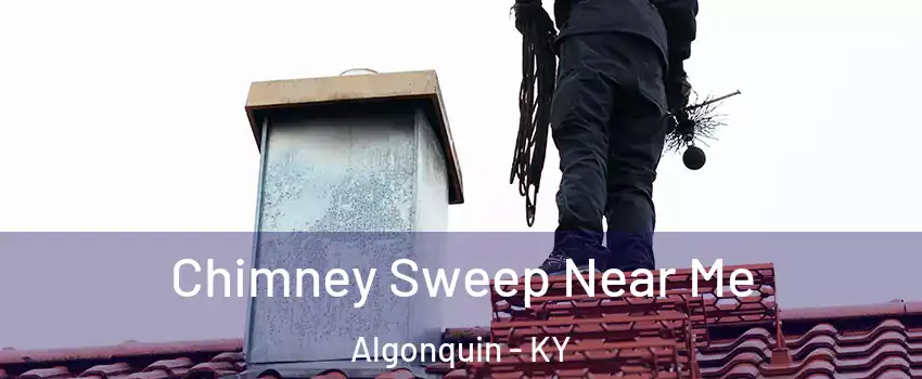 Chimney Sweep Near Me Algonquin - KY