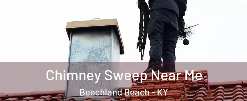 Chimney Sweep Near Me Beechland Beach - KY