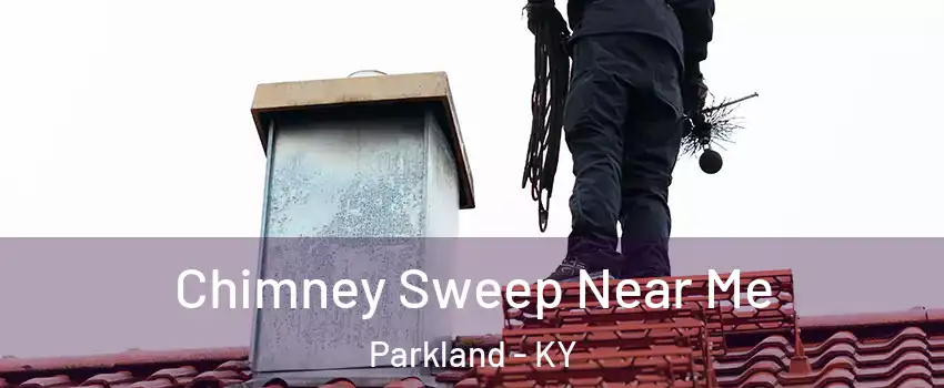 Chimney Sweep Near Me Parkland - KY