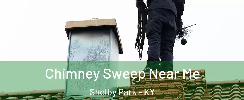 Chimney Sweep Near Me Shelby Park - KY