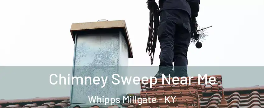 Chimney Sweep Near Me Whipps Millgate - KY