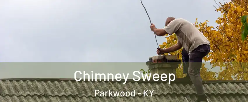 Chimney Sweep Parkwood - KY