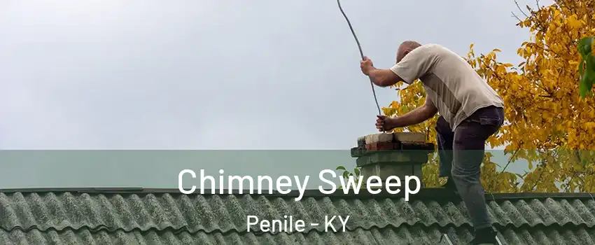 Chimney Sweep Penile - KY