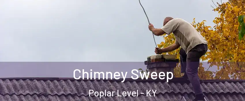 Chimney Sweep Poplar Level - KY