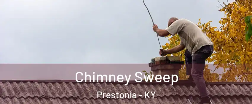 Chimney Sweep Prestonia - KY