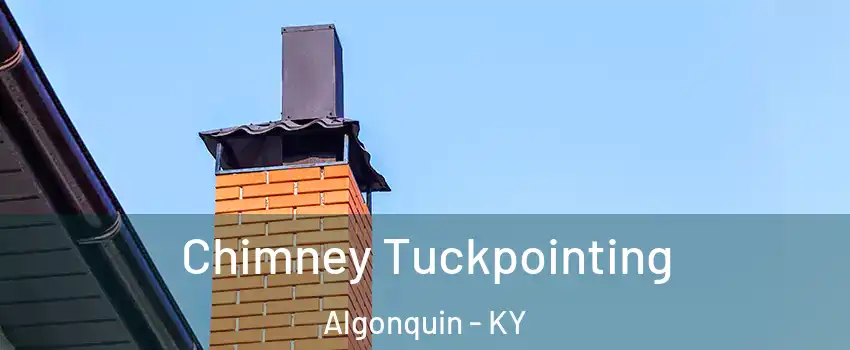 Chimney Tuckpointing Algonquin - KY