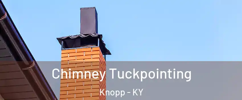 Chimney Tuckpointing Knopp - KY