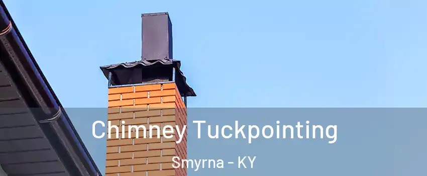 Chimney Tuckpointing Smyrna - KY
