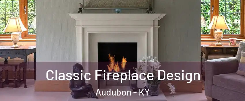 Classic Fireplace Design Audubon - KY