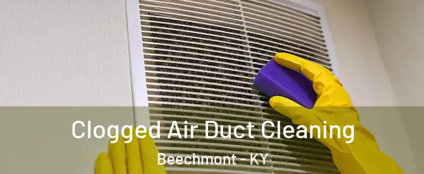 Clogged Air Duct Cleaning Beechmont - KY