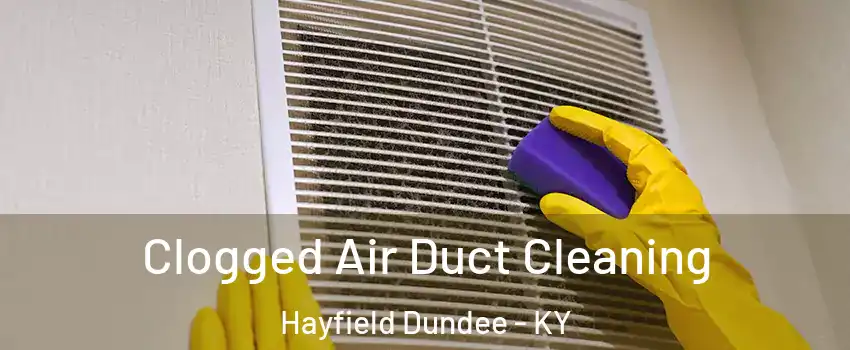 Clogged Air Duct Cleaning Hayfield Dundee - KY