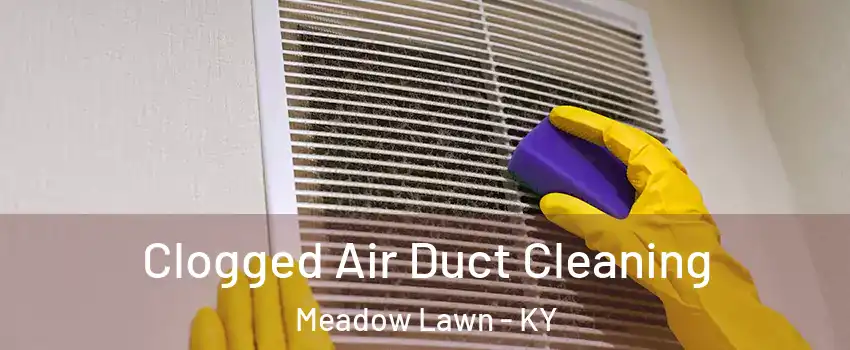 Clogged Air Duct Cleaning Meadow Lawn - KY