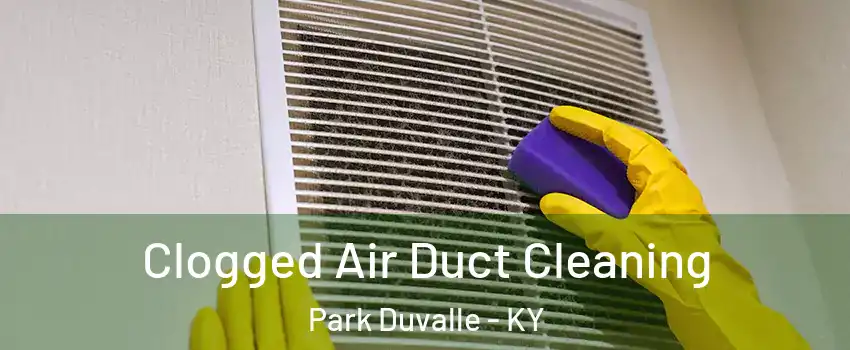 Clogged Air Duct Cleaning Park Duvalle - KY