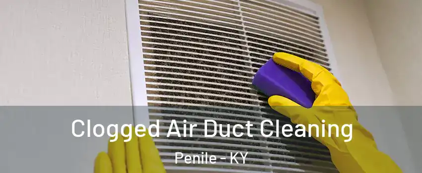 Clogged Air Duct Cleaning Penile - KY