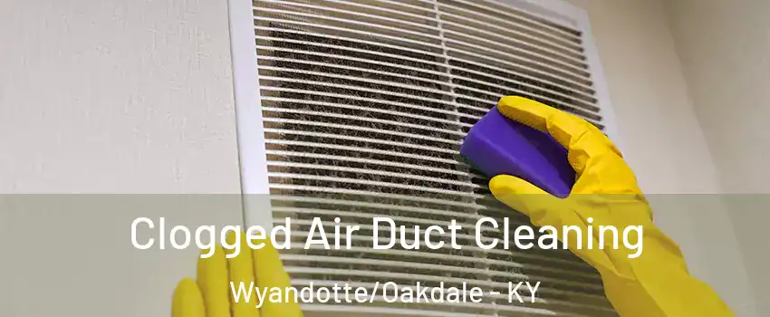 Clogged Air Duct Cleaning Wyandotte/Oakdale - KY