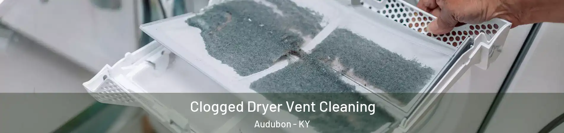 Clogged Dryer Vent Cleaning Audubon - KY
