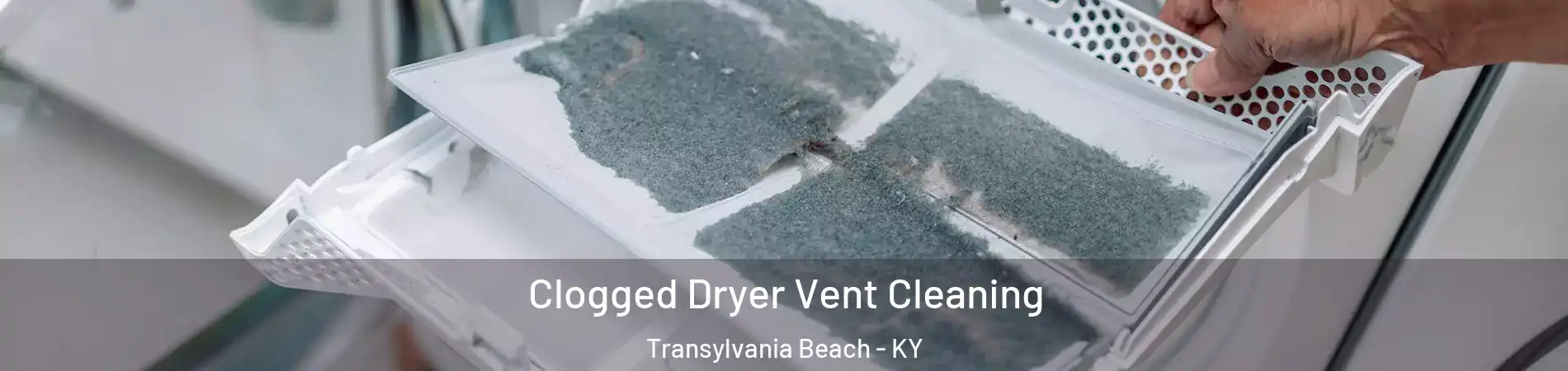 Clogged Dryer Vent Cleaning Transylvania Beach - KY